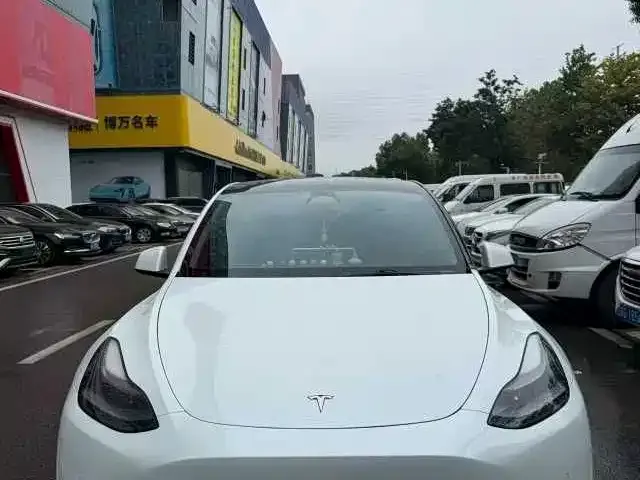 Tesla Model Y — Фото автомобиля 2