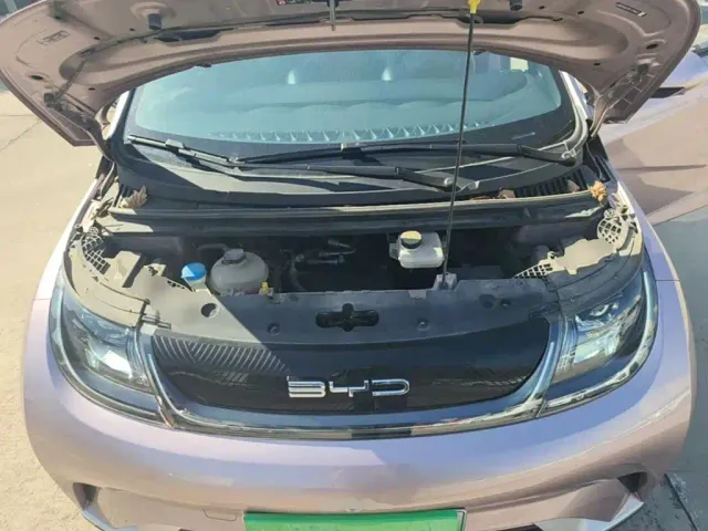 BYD Dolphin — Фото автомобиля 19