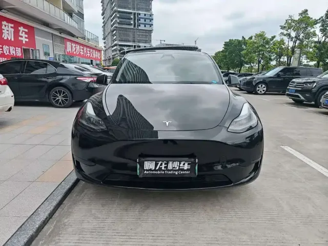 Tesla Model Y — Фото автомобиля 2