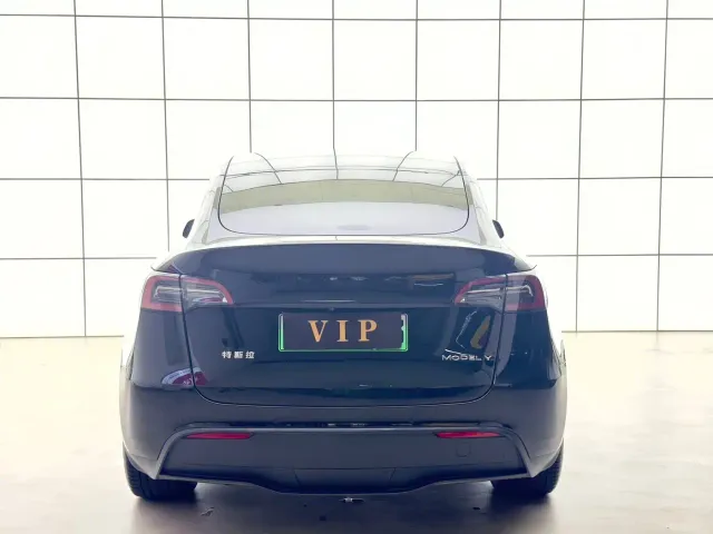 Tesla Model Y — Фото автомобиля 2
