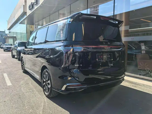 Hongqi Hongqi HQ9 2023 2.0T Smart Connect Flag Enjoy Edition — Фото автомобиля 9