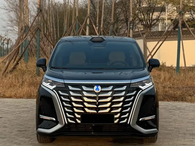 Denza D9 — Фото автомобиля 2