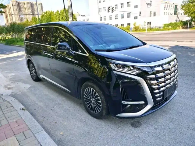 Denza D9 — Фото автомобиля 2