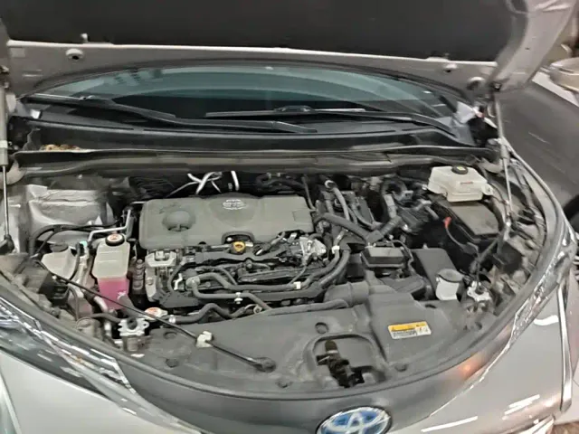 Toyota Sienna — Фото автомобиля 19