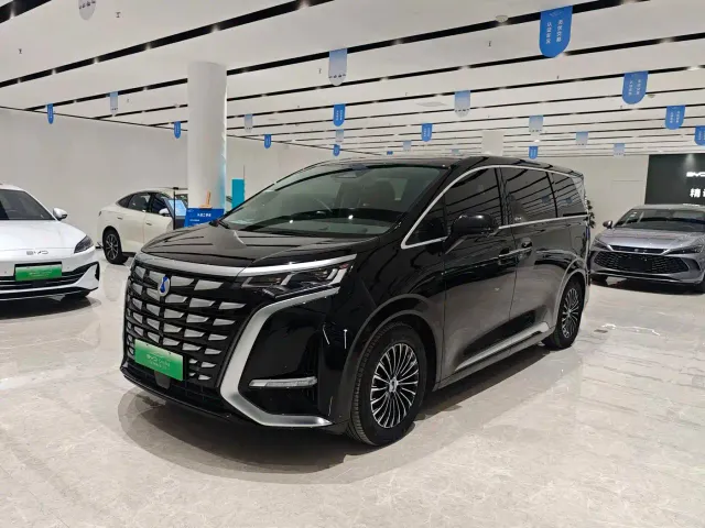 Фотография автомобиля — Denza D9