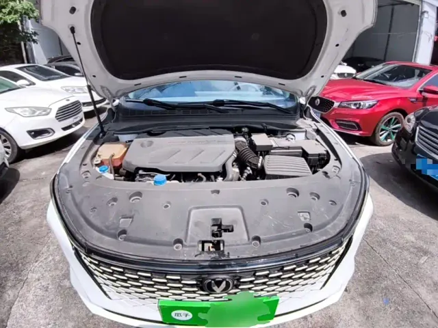 Changan Raeton Plus — Фото автомобиля 19