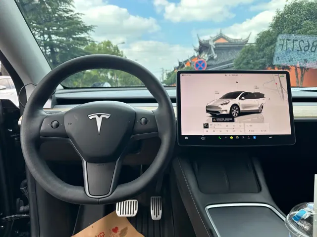 Tesla Model Y — Фото автомобиля 9