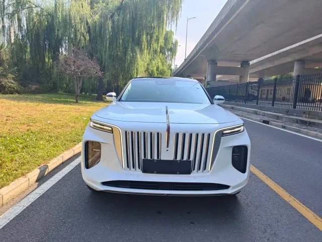 Hongqi E-HS9 — Фото автомобиля 2
