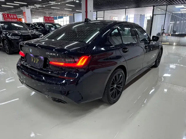 BMW 3 Series — Фото автомобиля 5