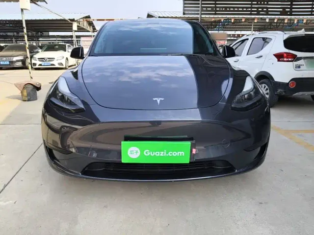 Tesla Model Y — Фото автомобиля 2