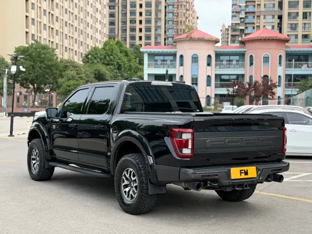 Ford F-150 Raptor — Фото автомобиля 20