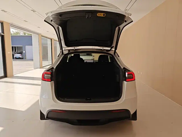Tesla Model Y — Фото автомобиля 18