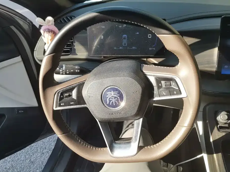 BYD Qin PLUS 2023 Champion Edition DM-i 55KM Leading — Фото автомобиля 15
