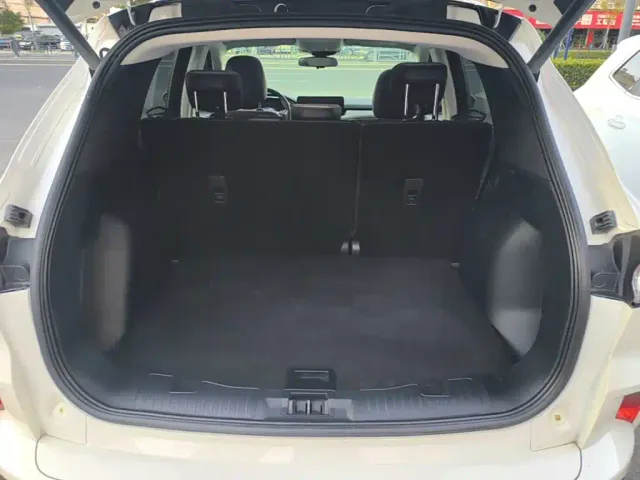 Ford Escape — Фото автомобиля 14