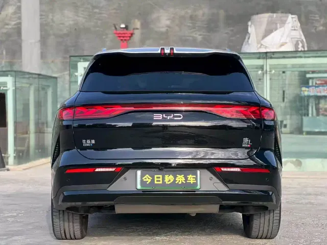 BYD Tang L — Фото автомобиля 8