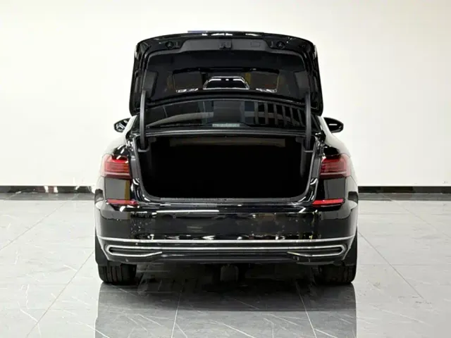 Volkswagen Passat — Фото автомобиля 11
