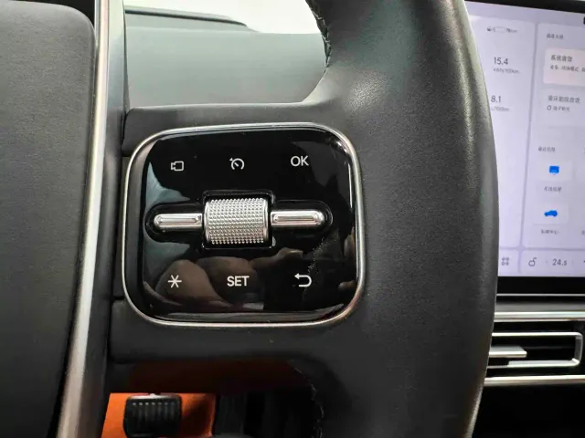 Li Auto L8 — Фото автомобиля 30