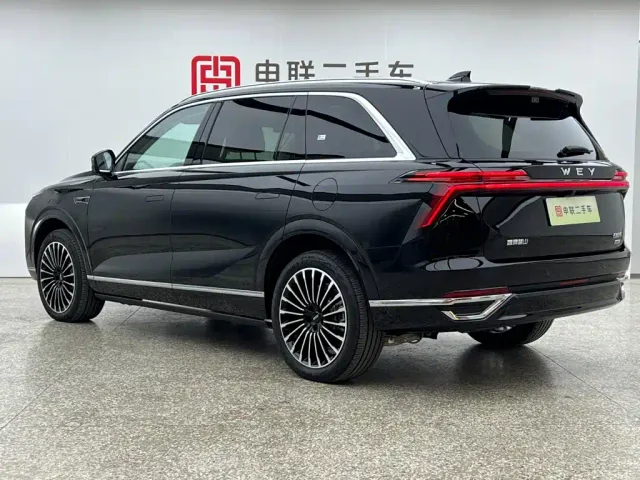 Wey Lanshan — Фото автомобиля 2