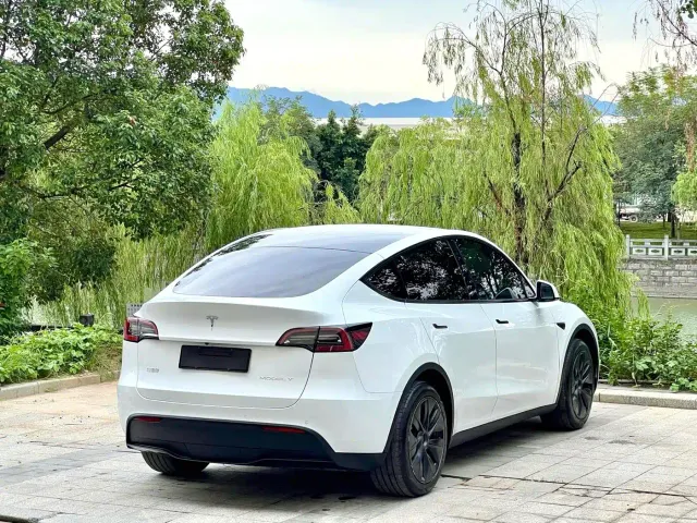 Tesla Model Y — Фото автомобиля 9