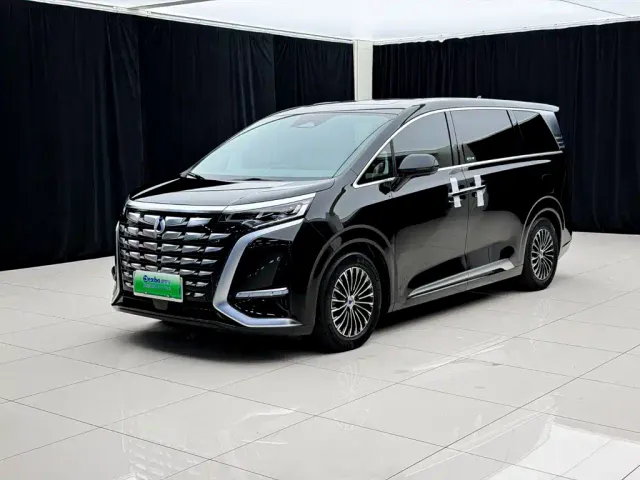 Фотография автомобиля — Denza D9