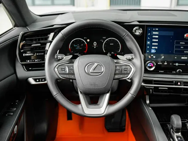 Lexus RX — Фото автомобиля 19