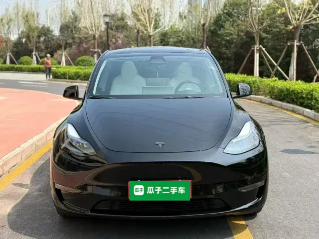 Tesla Model Y — Фото автомобиля 2