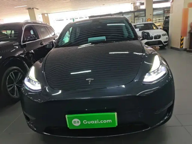 Tesla Model Y — Фото автомобиля 2