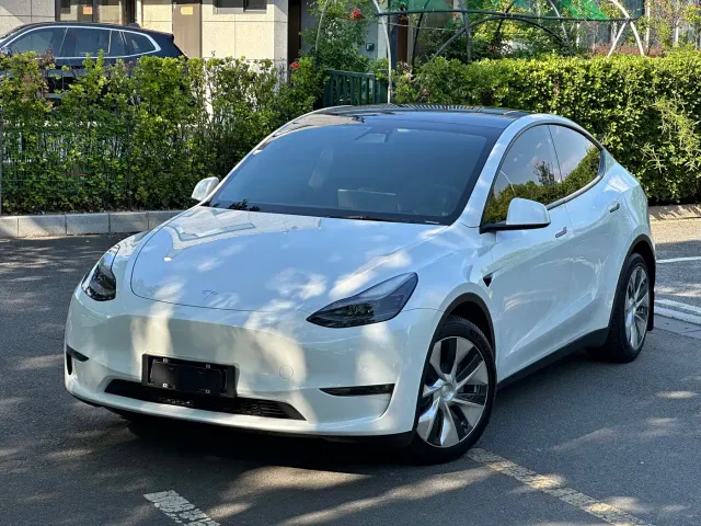 Tesla Model Y — Фото автомобиля 3