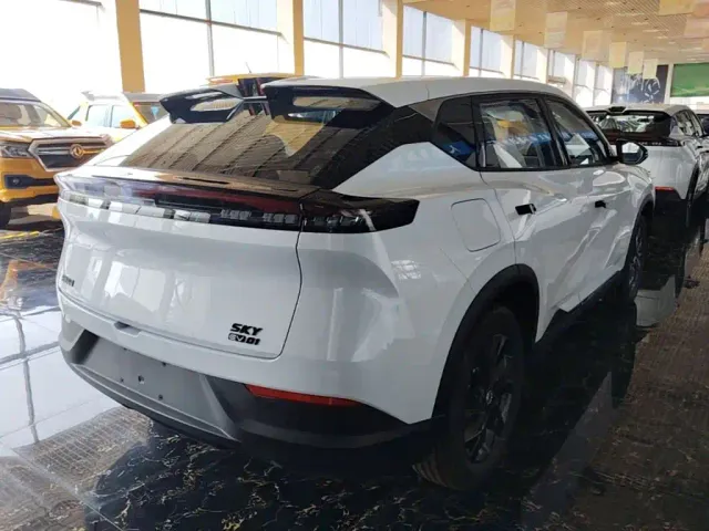 Dongfeng SKY EV01 — Фото автомобиля 6