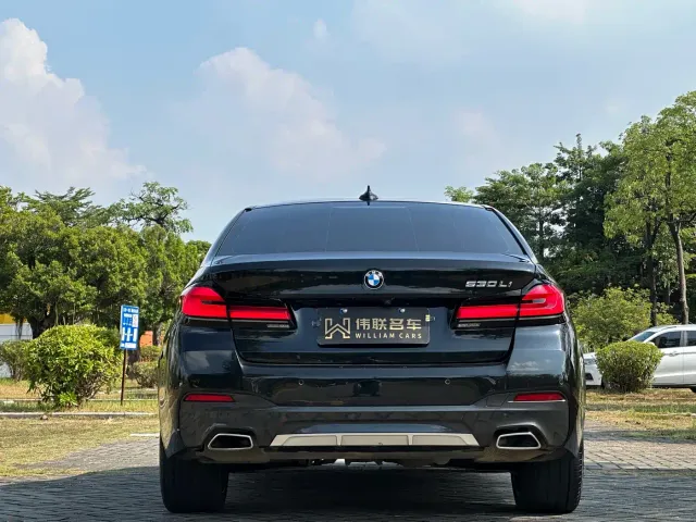 BMW 5 Series — Фото автомобиля 5