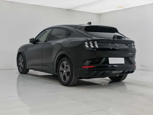 Ford Mustang Mach-E — Фото автомобиля 4