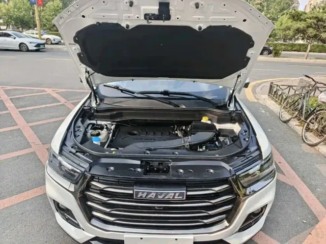 Haval Haval H6 2021 Model 1.5T Automatic Champion Edition — Фото автомобиля 12