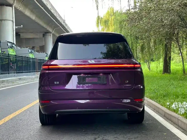 Li Auto L9 — Фото автомобиля 8