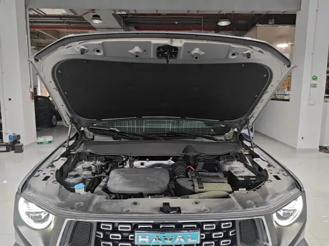Haval Haval Second-Generation Big Dog New Energy 2023 DHT-PHEV 105km Trend Electric Edition — Фото автомобиля 19