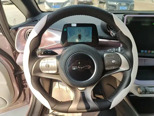BYD Dolphin — Фото автомобиля 10