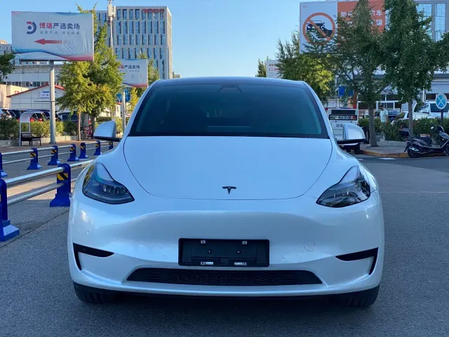 Tesla Model Y — Фото автомобиля 5
