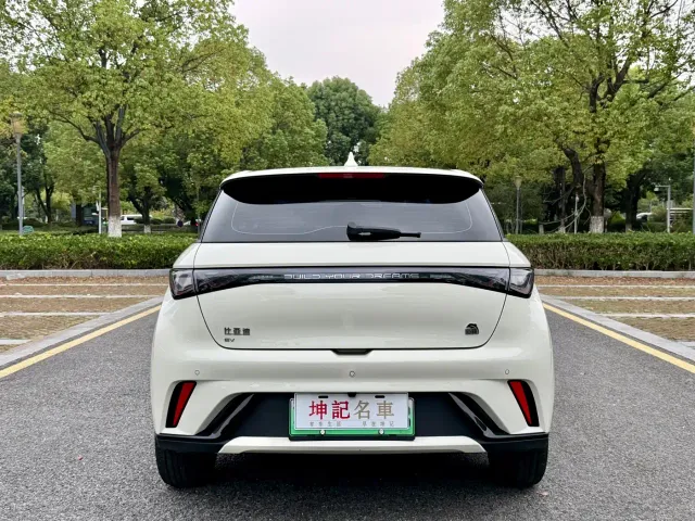 BYD Dolphin — Фото автомобиля 20