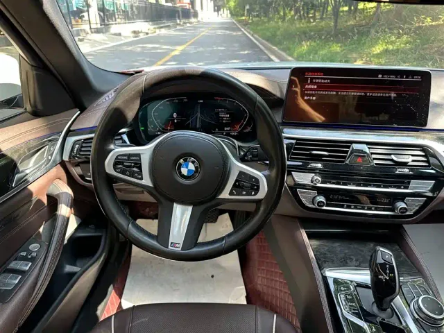 BMW 5 Series — Фото автомобиля 12