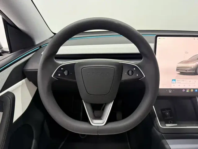 Tesla Model Y — Фото автомобиля 10