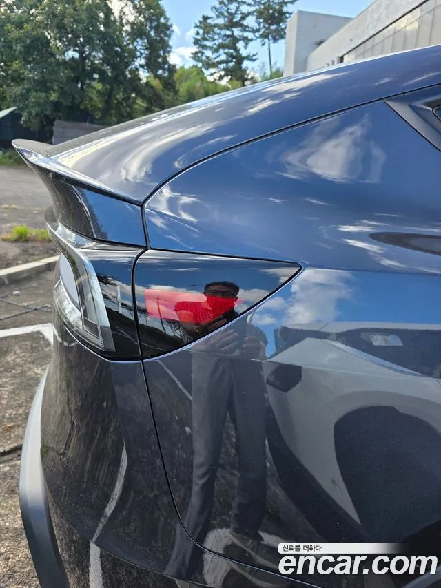 Tesla Model Y — Фото автомобиля 13