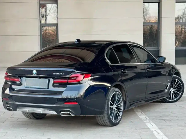 BMW 5 Series — Фото автомобиля 8