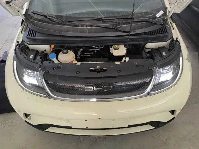 BYD Dolphin — Фото автомобиля 19