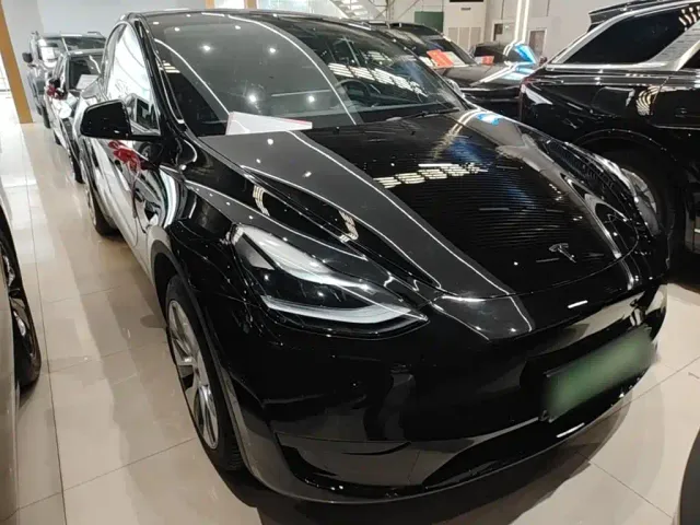 Tesla Model Y — Фото автомобиля 3
