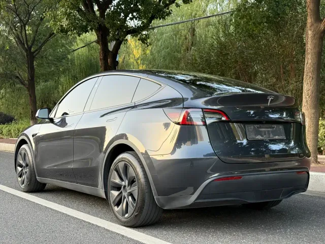 Tesla Model Y — Фото автомобиля 3