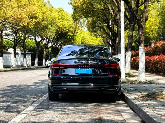 Volkswagen Passat — Фото автомобиля 13