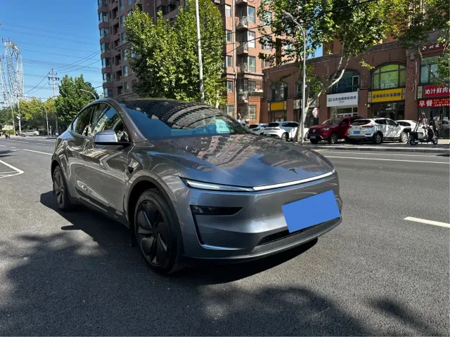 Tesla Model Y — Фото автомобиля 3