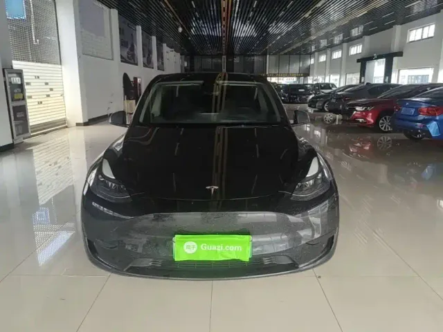 Tesla Model Y — Фото автомобиля 2