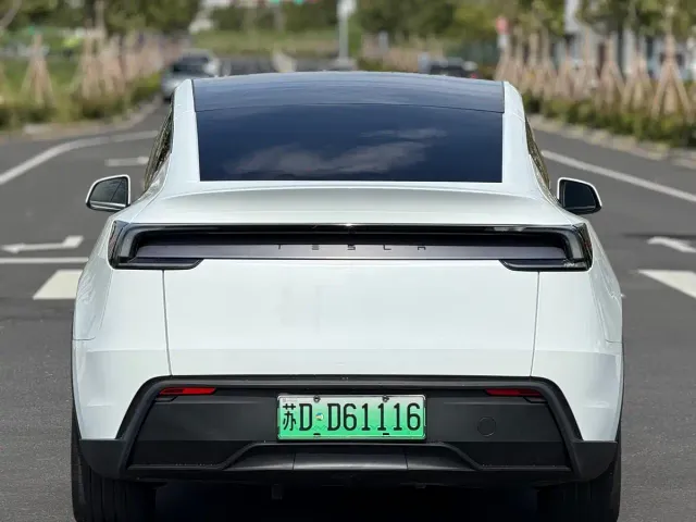 Tesla Model Y — Фото автомобиля 9