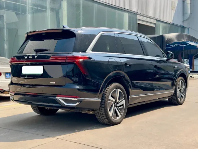 Wey Lanshan — Фото автомобиля 9