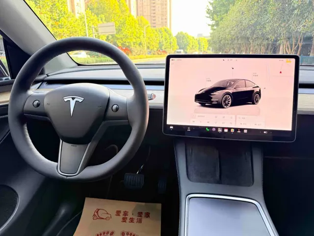 Tesla Model Y — Фото автомобиля 15